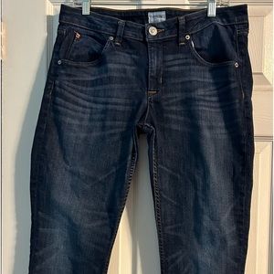 Hudson Jeans Size 31 Waist